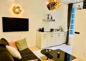 Loft du marais